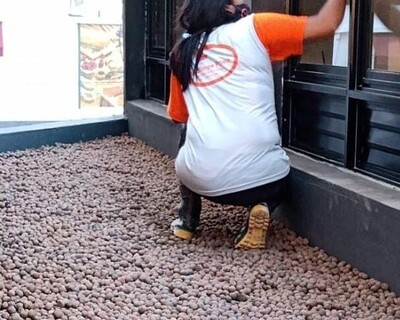 Multilimpe Prime Limpeza Profissional - Limpezas 